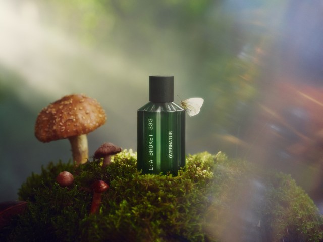 Bouteille de parfum verte sur de la mousse et entourée de champignons forestier.