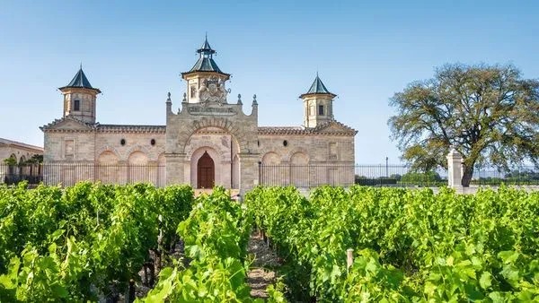 Vue sur des vignes avec un château derrière les vignes